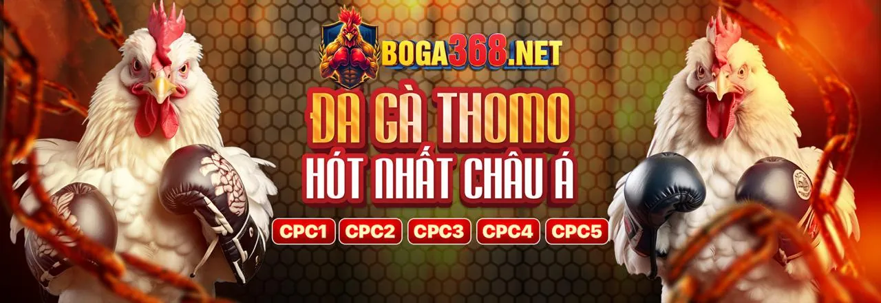 Đá Gà Trực Tuyến Hấp Dẫn tại tt 88